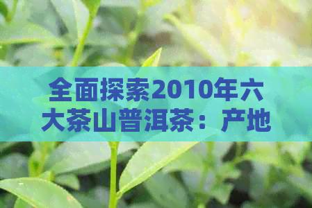 全面探索2010年六大茶山普洱茶：产地、品质、口感及选购指南