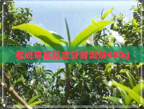 老班章宫廷金芽普洱茶400g