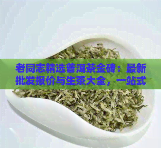 老同志精选普洱茶金砖：最新批发报价与生茶大全，一站式购物体验