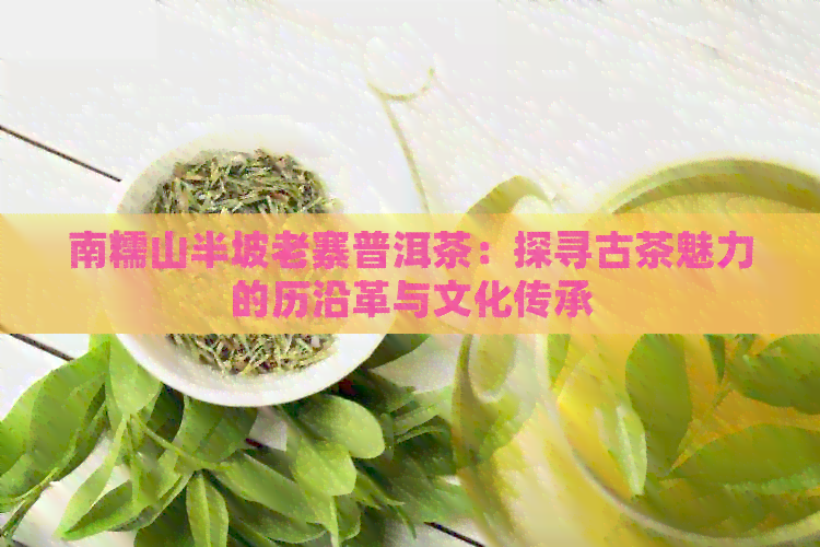 南糯山半坡老寨普洱茶：探寻古茶魅力的历沿革与文化传承