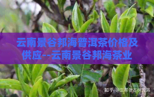 云南景谷邦海普洱茶价格及供应--云南景谷邦海茶业