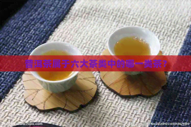 普洱茶属于六大茶类中的哪一类茶？