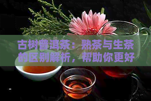 古树普洱茶：熟茶与生茶的区别解析，帮助你更好地选择与品鉴