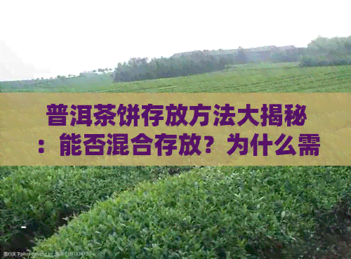 普洱茶饼存放方法大揭秘：能否混合存放？为什么需要注意？