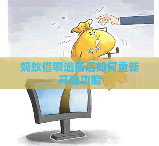 蚂蚁借呗逾期后如何重新开通功能