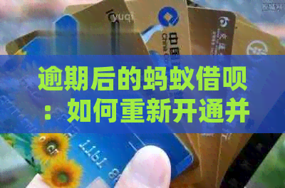 逾期后的蚂蚁借呗：如何重新开通并避免再次逾期的详细教程