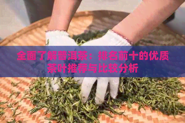 全面了解普洱茶：排名前十的优质茶叶推荐与比较分析