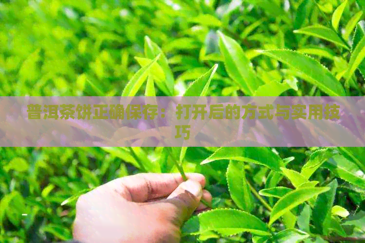 普洱茶饼正确保存：打开后的方式与实用技巧