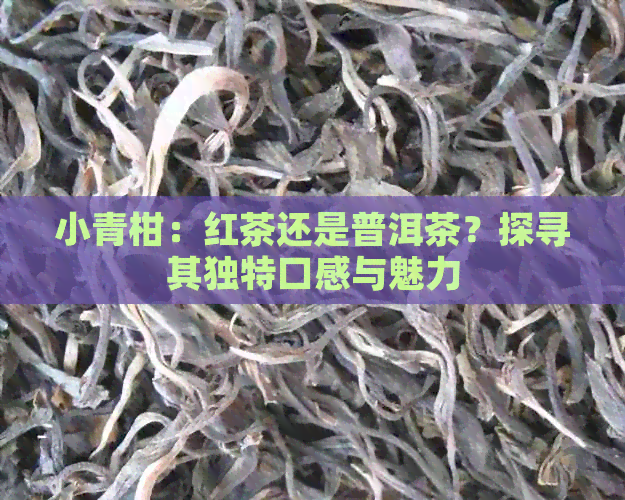 小青柑：红茶还是普洱茶？探寻其独特口感与魅力