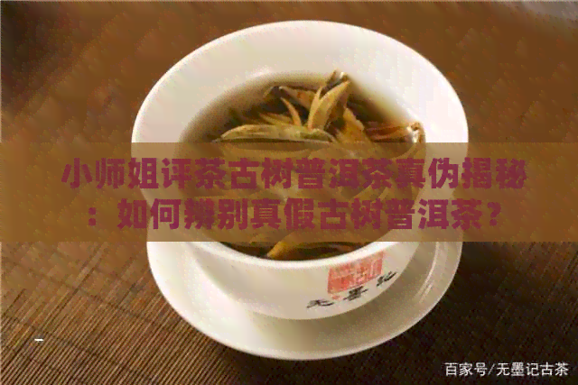  小师姐评茶古树普洱茶真伪揭秘：如何辨别真假古树普洱茶？