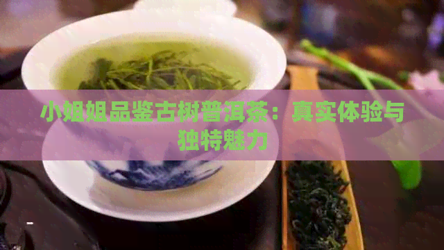      姐品鉴古树普洱茶：真实体验与独特魅力