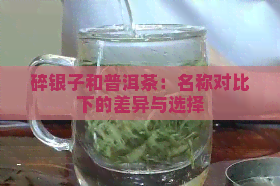 碎银子和普洱茶：名称对比下的差异与选择