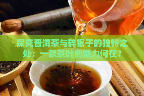 探究普洱茶与碎银子的独特之处：一款茶叶的魅力何在？