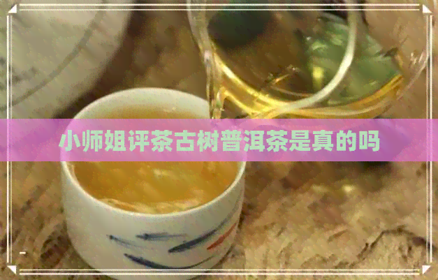 小师姐评茶古树普洱茶是真的吗