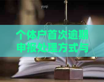 个体户首次逾期申报处理方式与影响