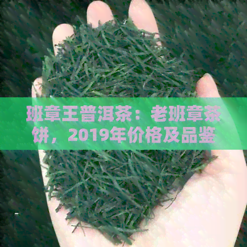 班章王普洱茶：老班章茶饼，2019年价格及品鉴分享