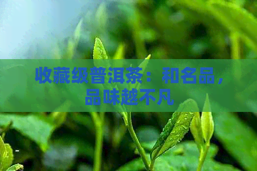 收藏级普洱茶：和名品，品味越不凡