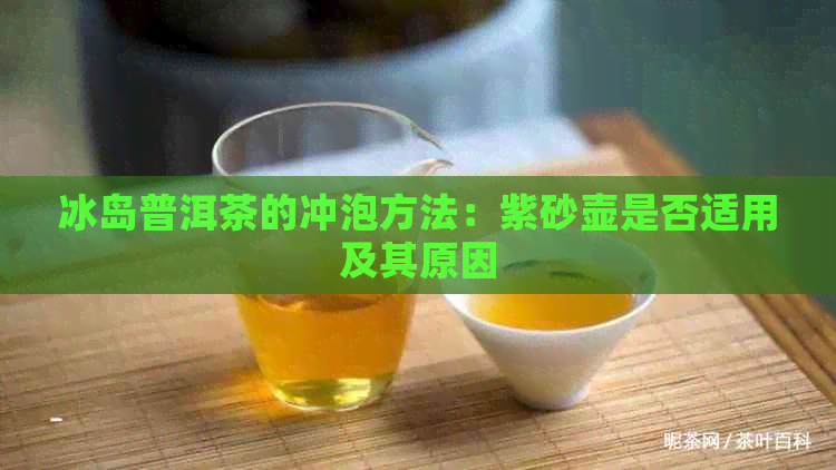 冰岛普洱茶的冲泡方法：紫砂壶是否适用及其原因