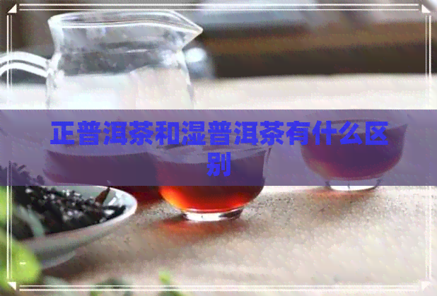 正普洱茶和湿普洱茶有什么区别