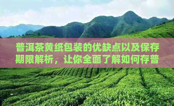 普洱茶黄纸包装的优缺点以及保存期限解析，让你全面了解如何存普洱茶