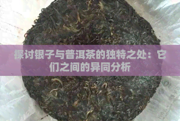 探讨银子与普洱茶的独特之处：它们之间的异同分析