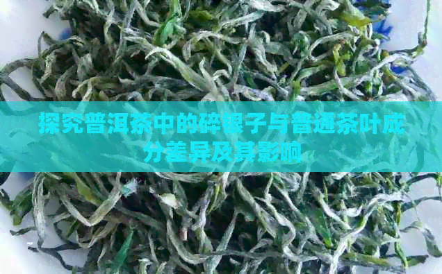 探究普洱茶中的碎银子与普通茶叶成分差异及其影响