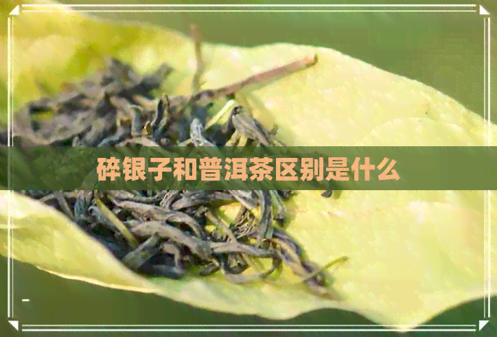 碎银子和普洱茶区别是什么