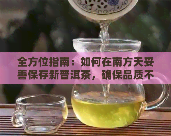 全方位指南：如何在南方天妥善保存新普洱茶，确保品质不受影响？