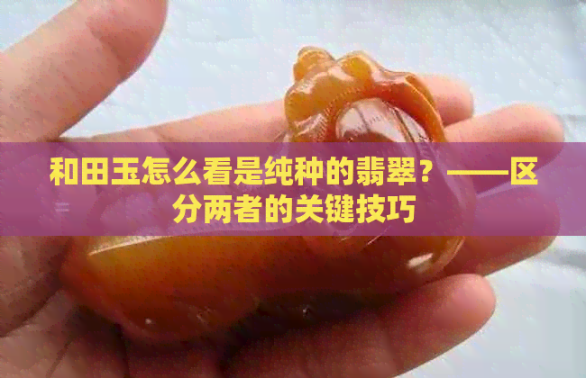 和田玉怎么看是纯种的翡翠？——区分两者的关键技巧