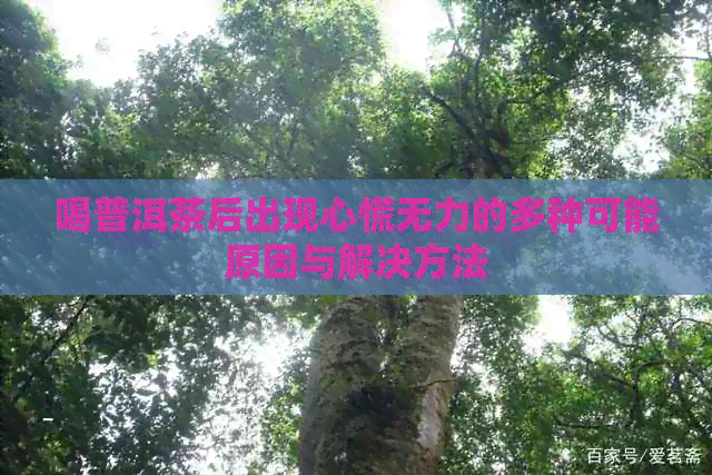 喝普洱茶后出现心慌无力的多种可能原因与解决方法