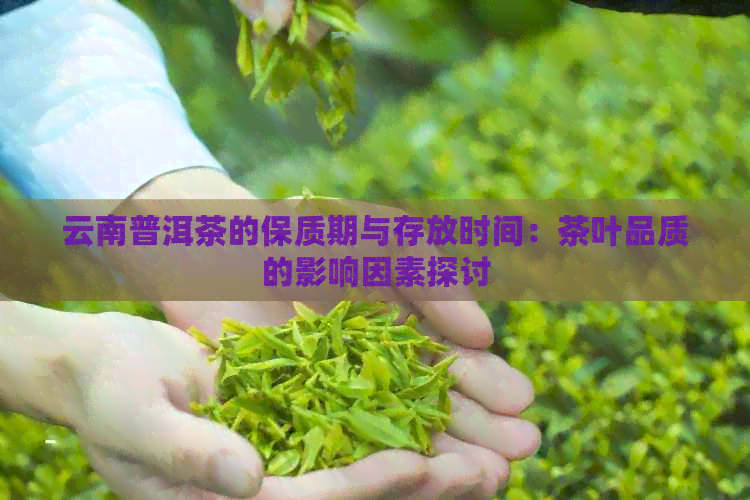 云南普洱茶的保质期与存放时间：茶叶品质的影响因素探讨