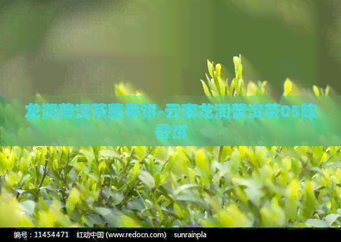 龙润普洱茶藏香饼-云南龙润普洱茶05陈香饼