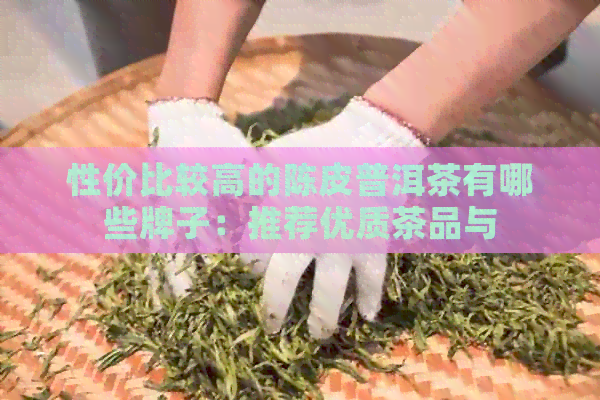 性价比较高的陈皮普洱茶有哪些牌子：推荐优质茶品与