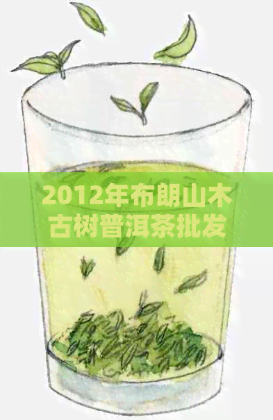 2012年布朗山木古树普洱茶批发价格及货源分析