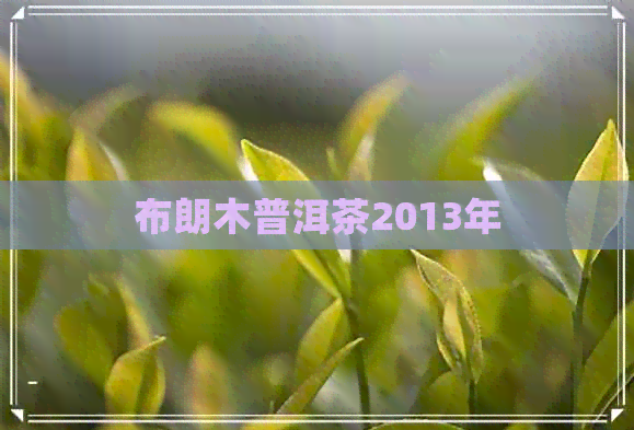 布朗木普洱茶2013年