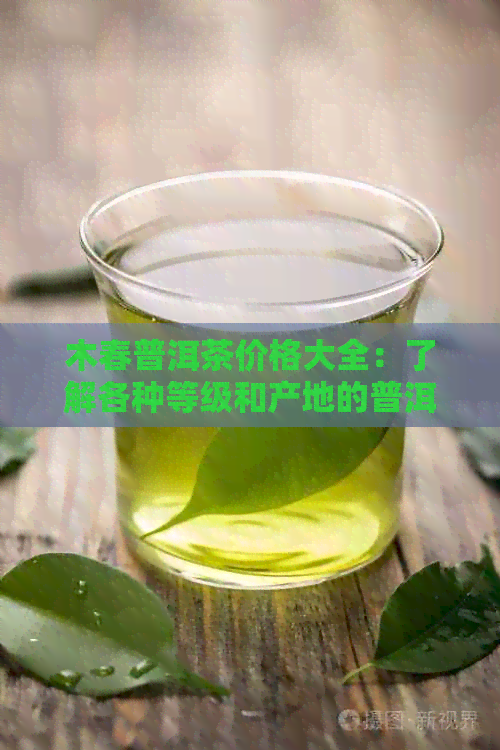 木春普洱茶价格大全：了解各种等级和产地的普洱茶价格，助您轻松选购！