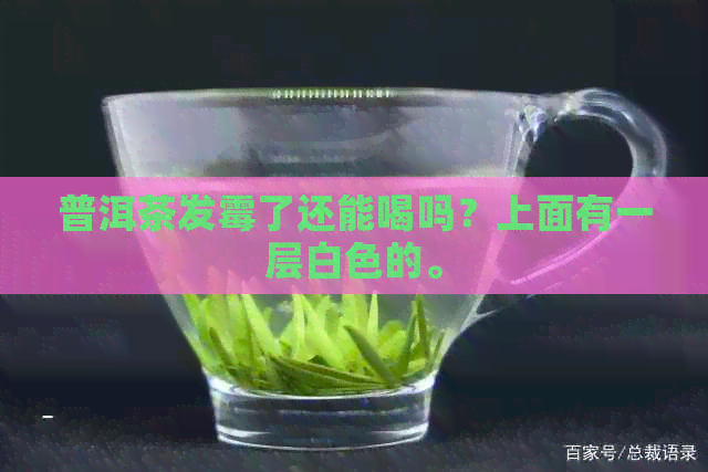 普洱茶发霉了还能喝吗？上面有一层白色的。