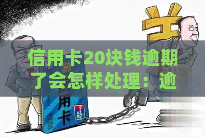 信用卡20块钱逾期了会怎样处理：逾期一年与一天的处罚及利息计算