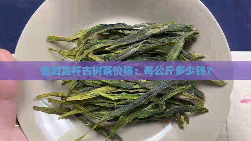 普洱高杆古树茶价格：每公斤多少钱？