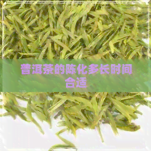 普洱茶的陈化多长时间合适