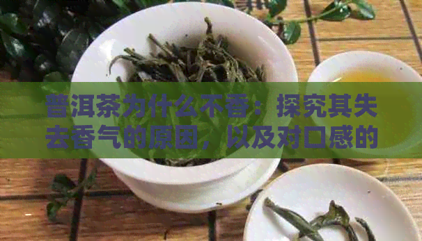 普洱茶为什么不香：探究其失去香气的原因，以及对口感的影响