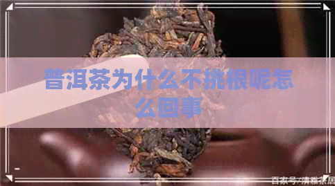 普洱茶为什么不挑根呢怎么回事