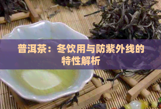 普洱茶：冬饮用与防紫外线的特性解析