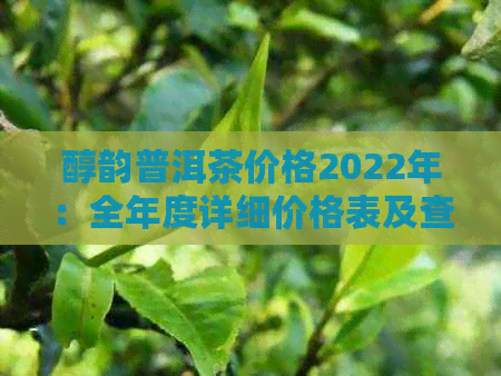 醇韵普洱茶价格2022年：全年度详细价格表及查询