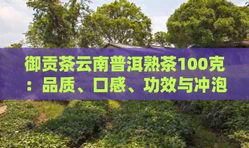 御贡茶云南普洱熟茶100克：品质、口感、功效与冲泡方法全面解析