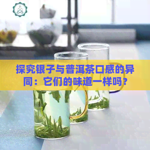 探究银子与普洱茶口感的异同：它们的味道一样吗？