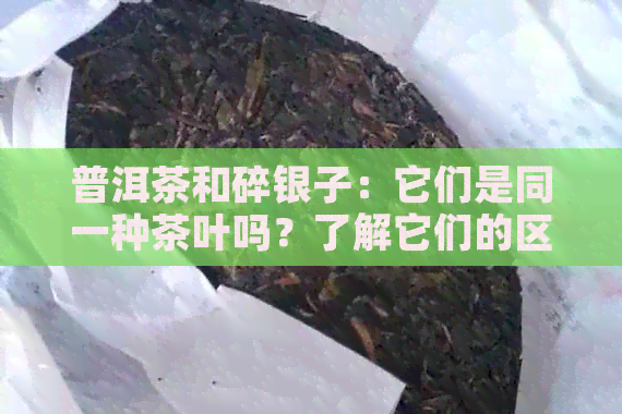 普洱茶和碎银子：它们是同一种茶叶吗？了解它们的区别与联系