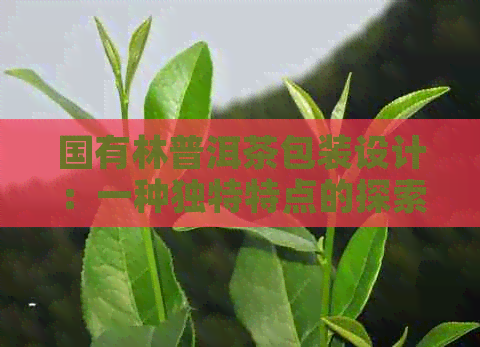 国有林普洱茶包装设计：一种独特特点的探索