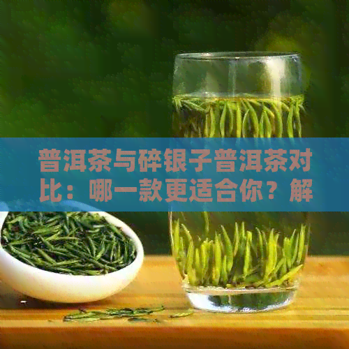 普洱茶与碎银子普洱茶对比：哪一款更适合你？解析两者的特点与适用场景