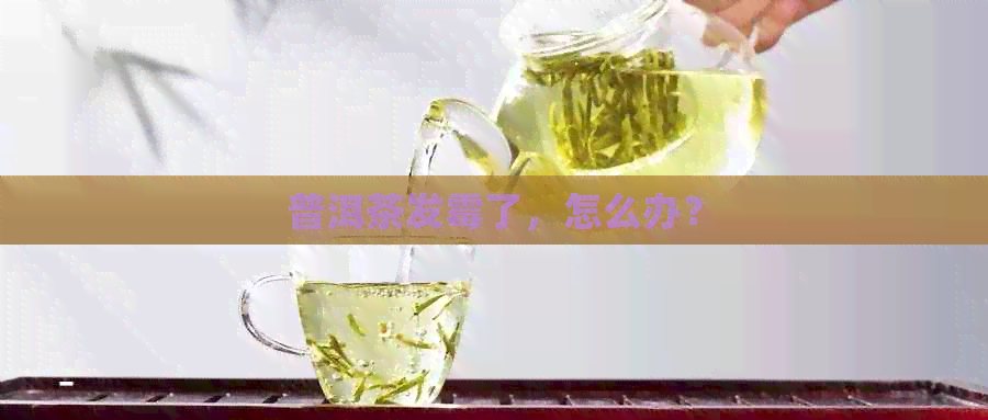 普洱茶发霉了，怎么办？